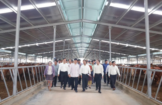 b4aa39517eeeb8d9346f337006b63fda.png b4aa39517eeeb8d9346f337006b63fda.png